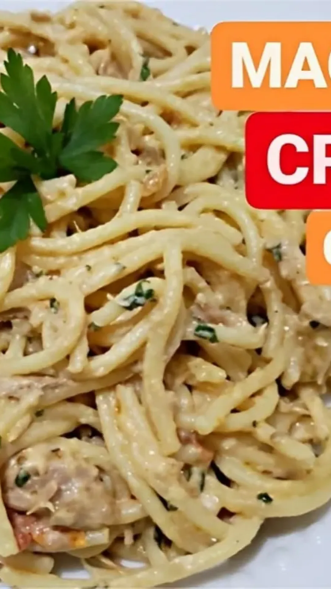 Macarrão cremoso com atum simples fácil de fazer e perfeito para a refeição do dia a dia