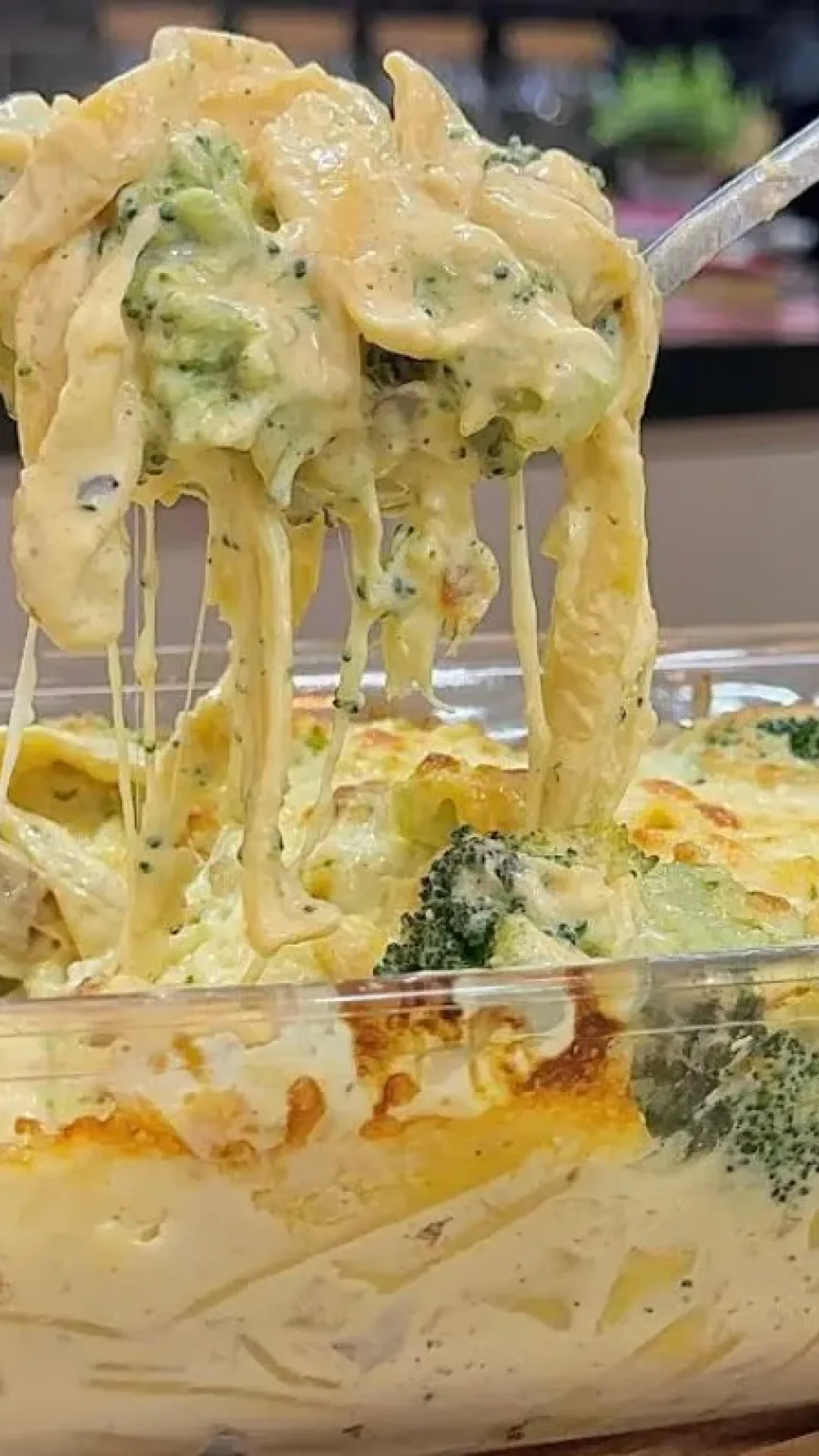 Macarrão cremoso com brócolis: é maravilhoso e não dá trabalho para deixar pronto