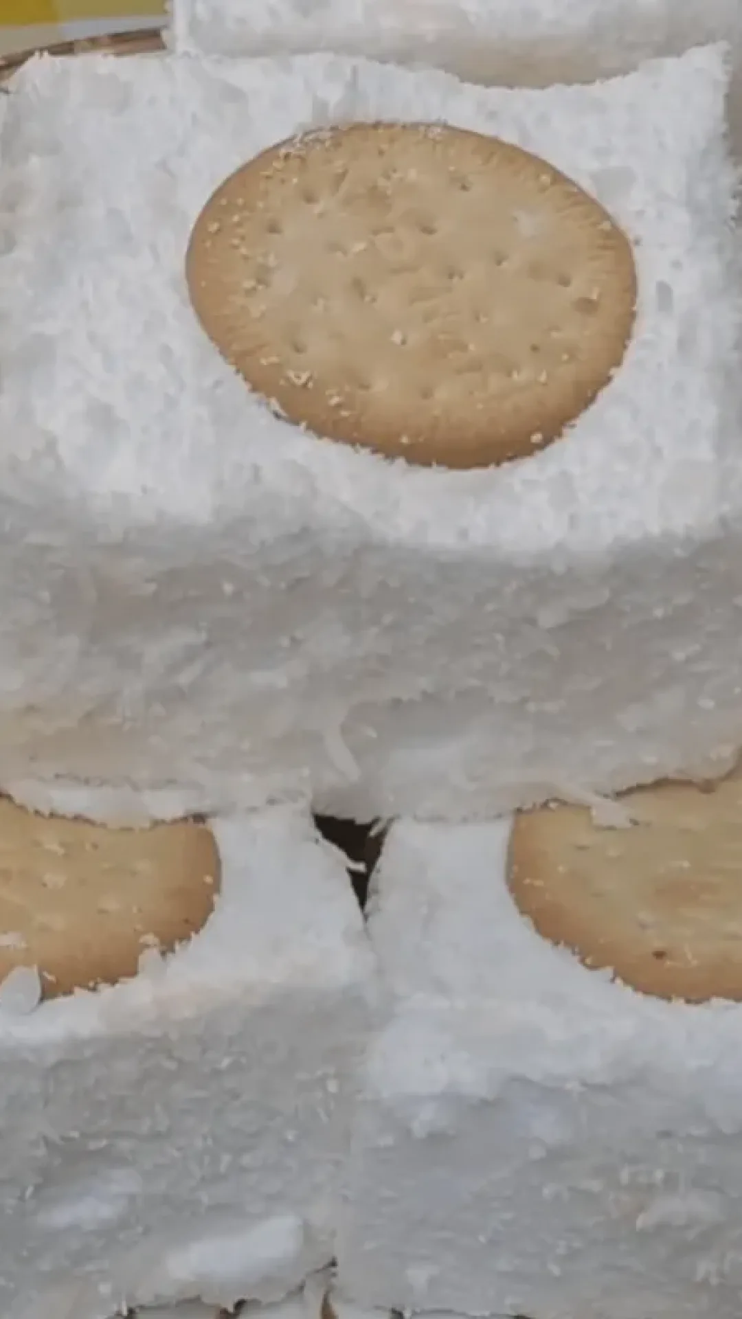 Maria mole no biscoito fácil e deliciosa para você relembrar a infância neste Natal