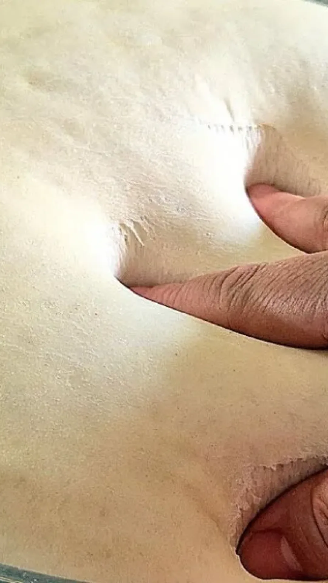 Massa de salgado assado coringa com passo a passo detalhado para não errar mais