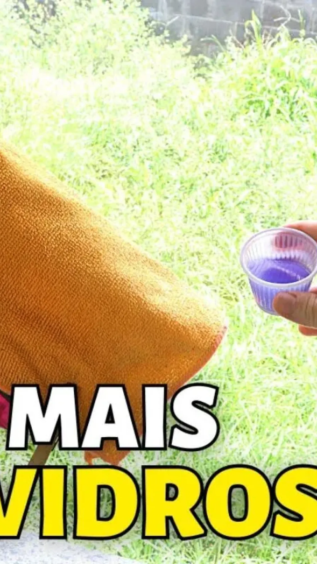 Misturinha caseira para limpar vidros e portas: dá brilho, não mancha e deixa cheiroso por dias