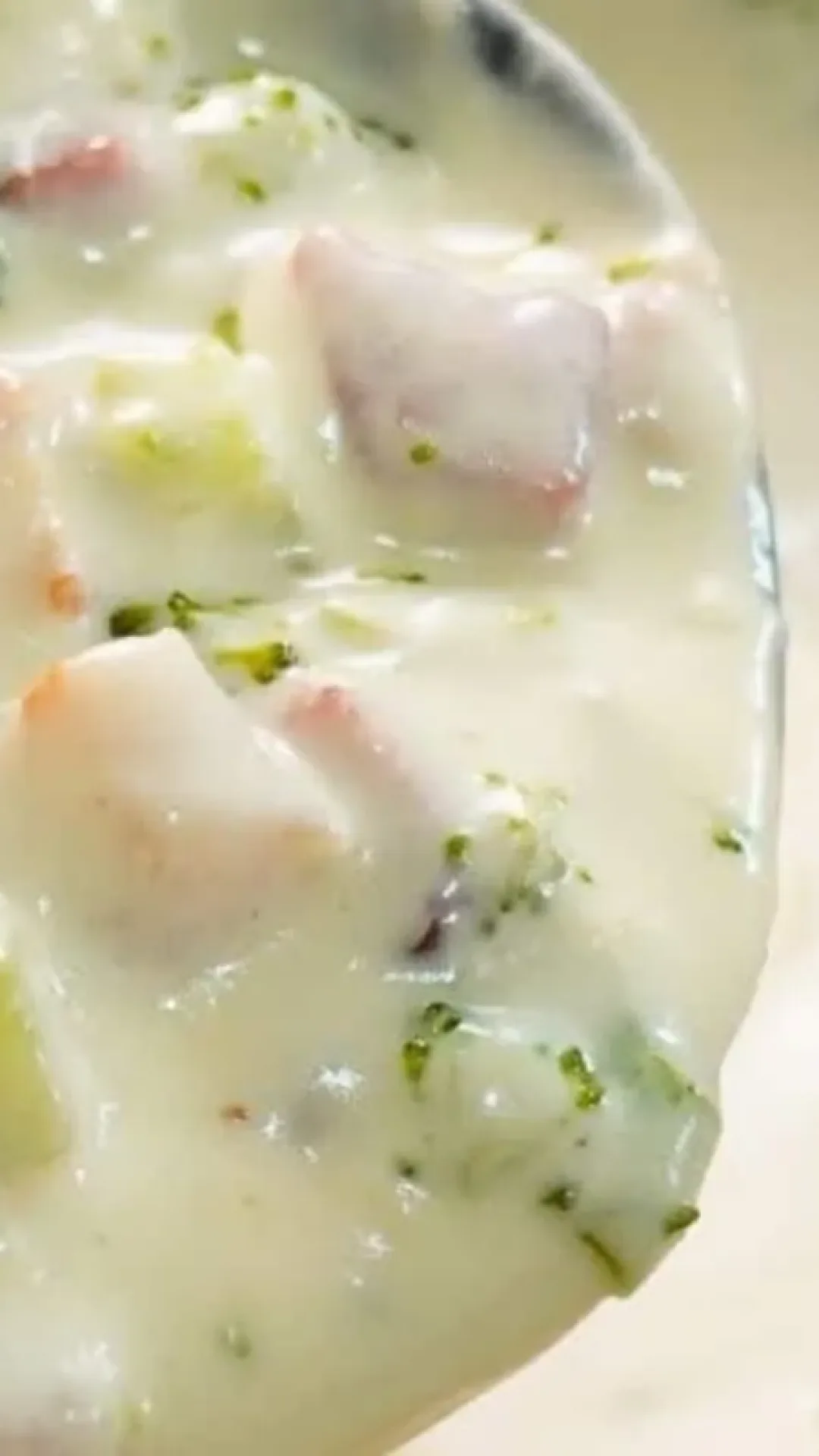 Molho para lasanha e macarronadas, feito com uma base branca deliciosa e brócolis, uma delícia