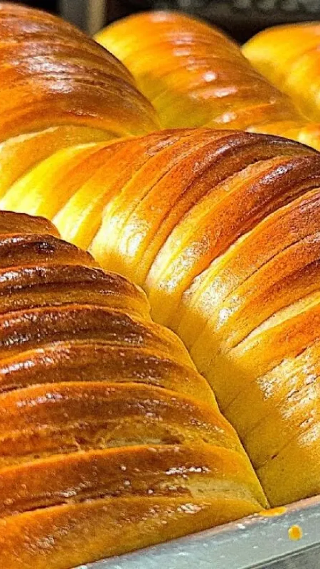 Pão caseiro: a receita mais fácil do mundo para você fazer um pão muito fofinho e cheiroso