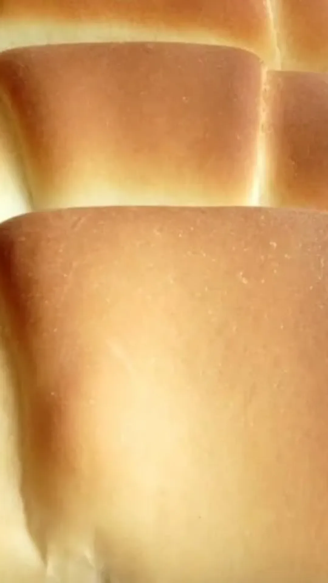 Pão caseiro econômico e fofinho: veja como fazer crescer bem toda vez que você preparar