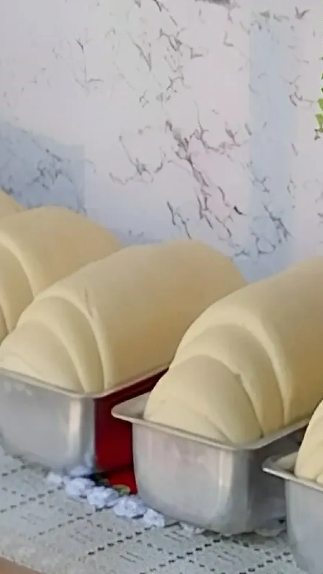 Pão caseiro que cresce muito feito sem ovos nem leite super econômico fofinho e delicioso