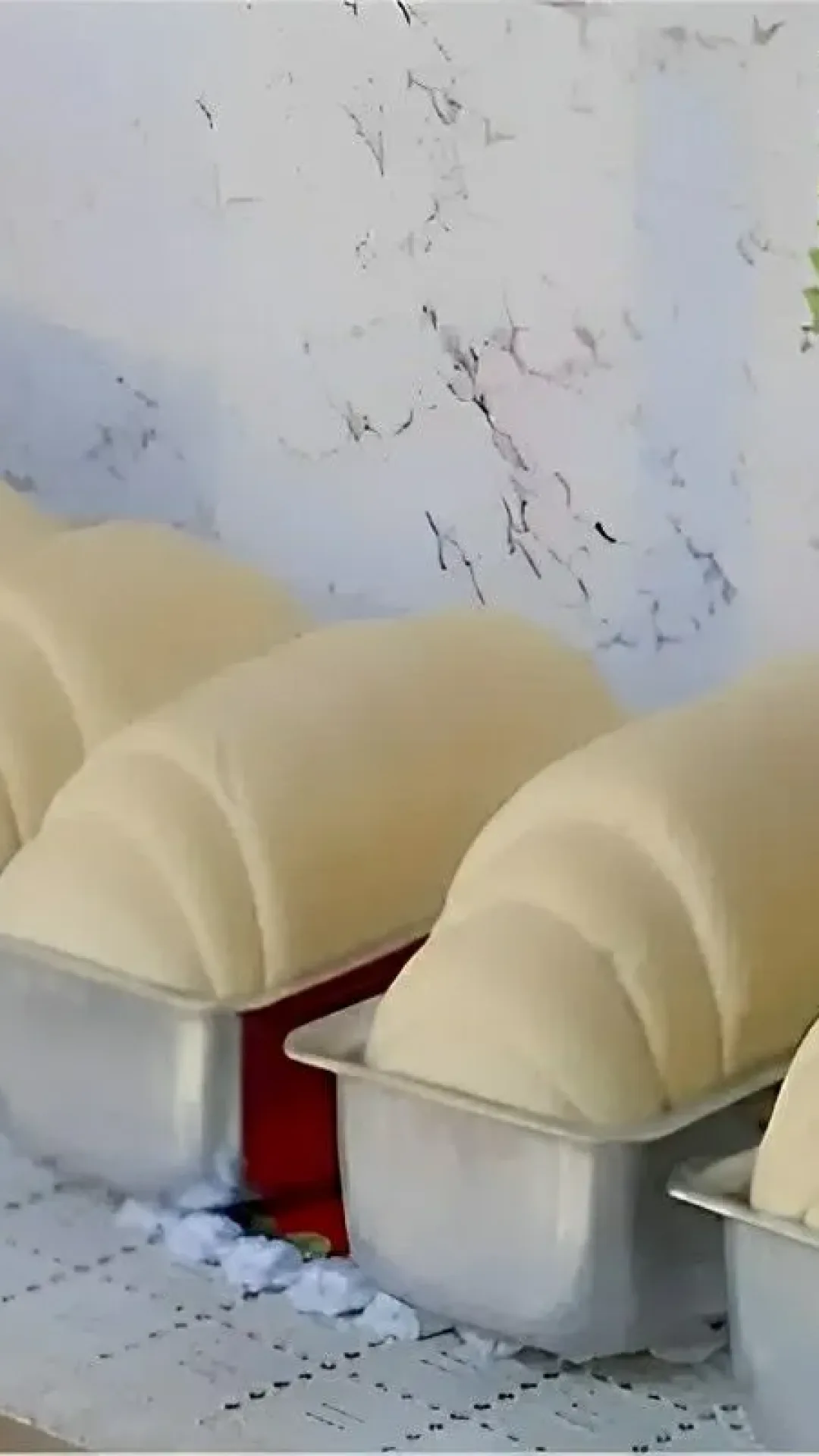 Pão caseiro sem ovos nem leite muito fofinho e perfeito para o lanche ou café