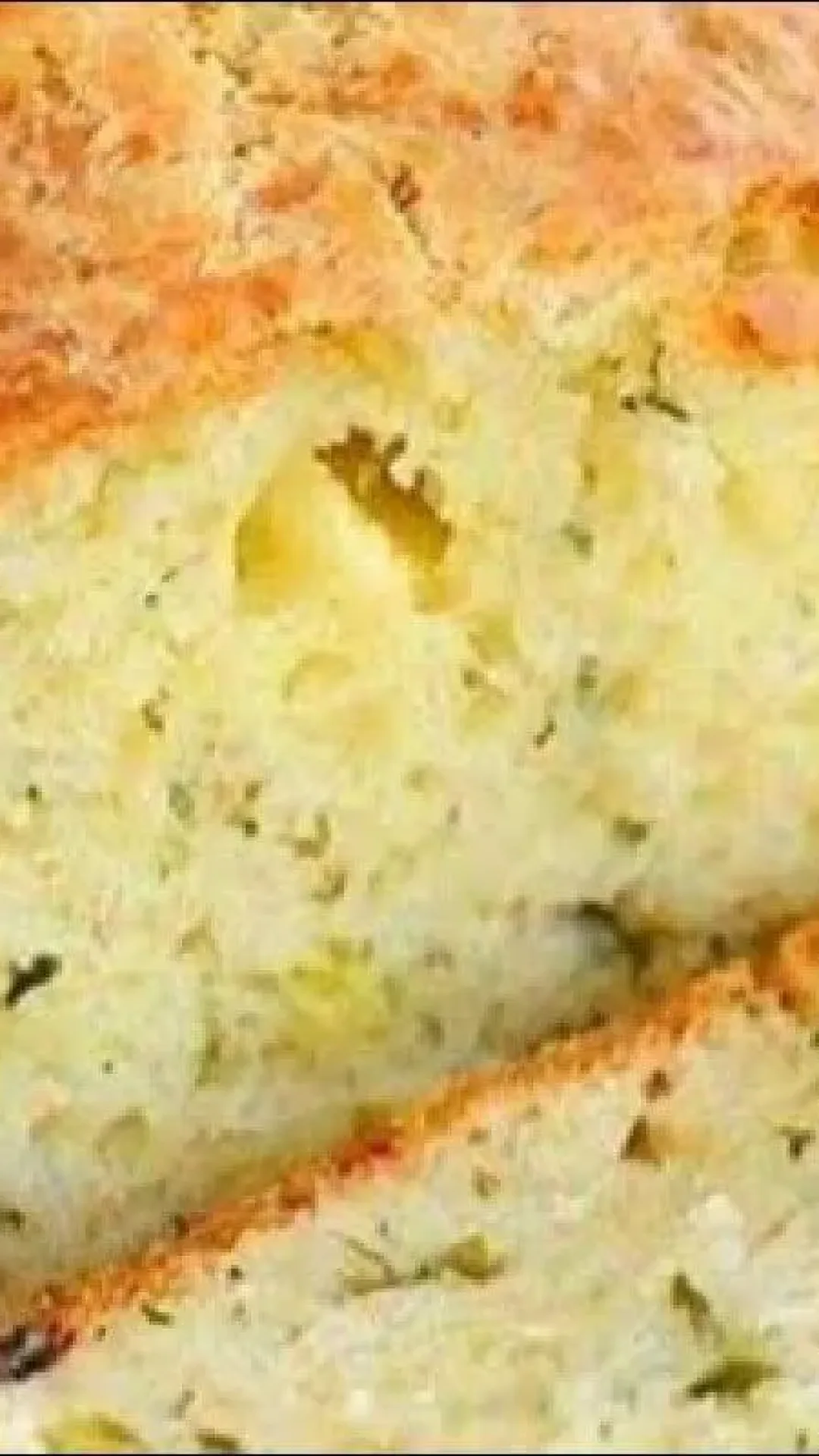 Pão de cebola é um dos melhores pães que você vai comer na sua vida