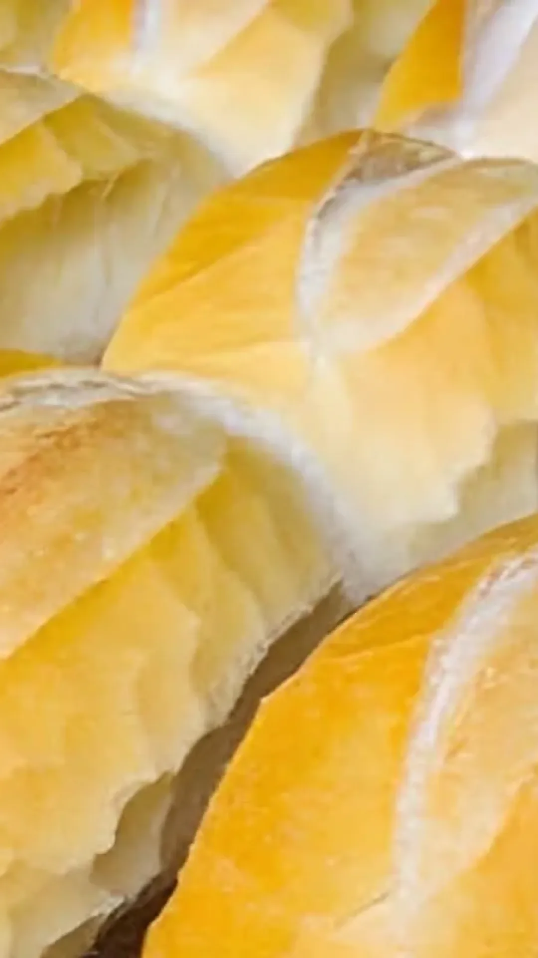 Pão francês que eu fiz em casa e ficou melhor que o padaria