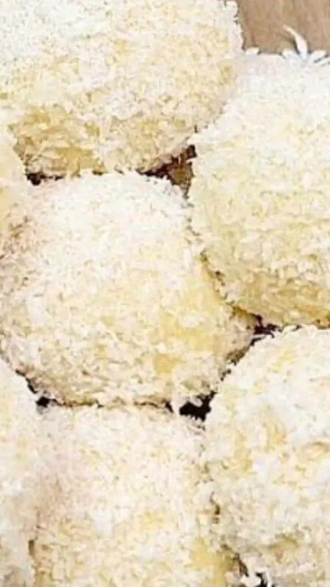 Pão lua de mel recheado de um jeito tão gostoso que vai te surpreender