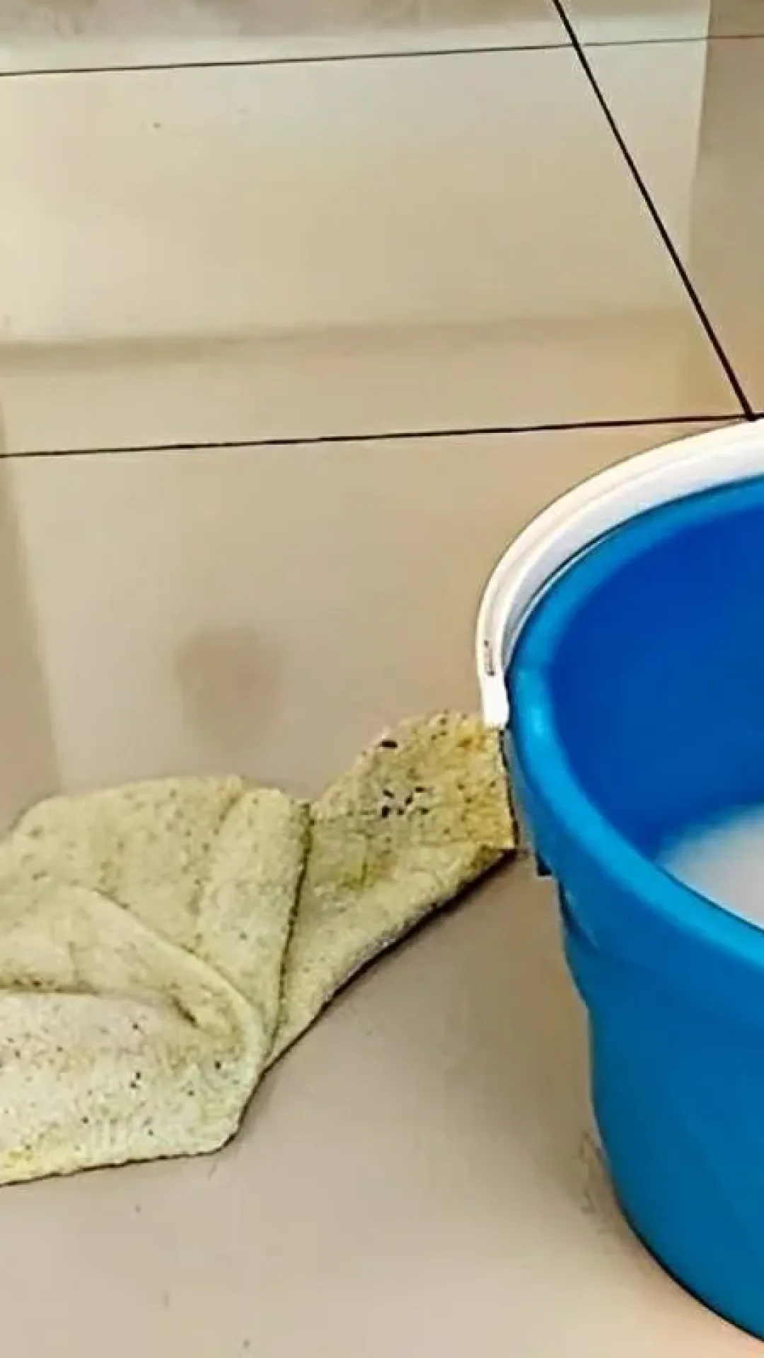 Pasta de dente para fazer um poderoso limpador de pisos não agride e tira as sujeiras mais difíceis