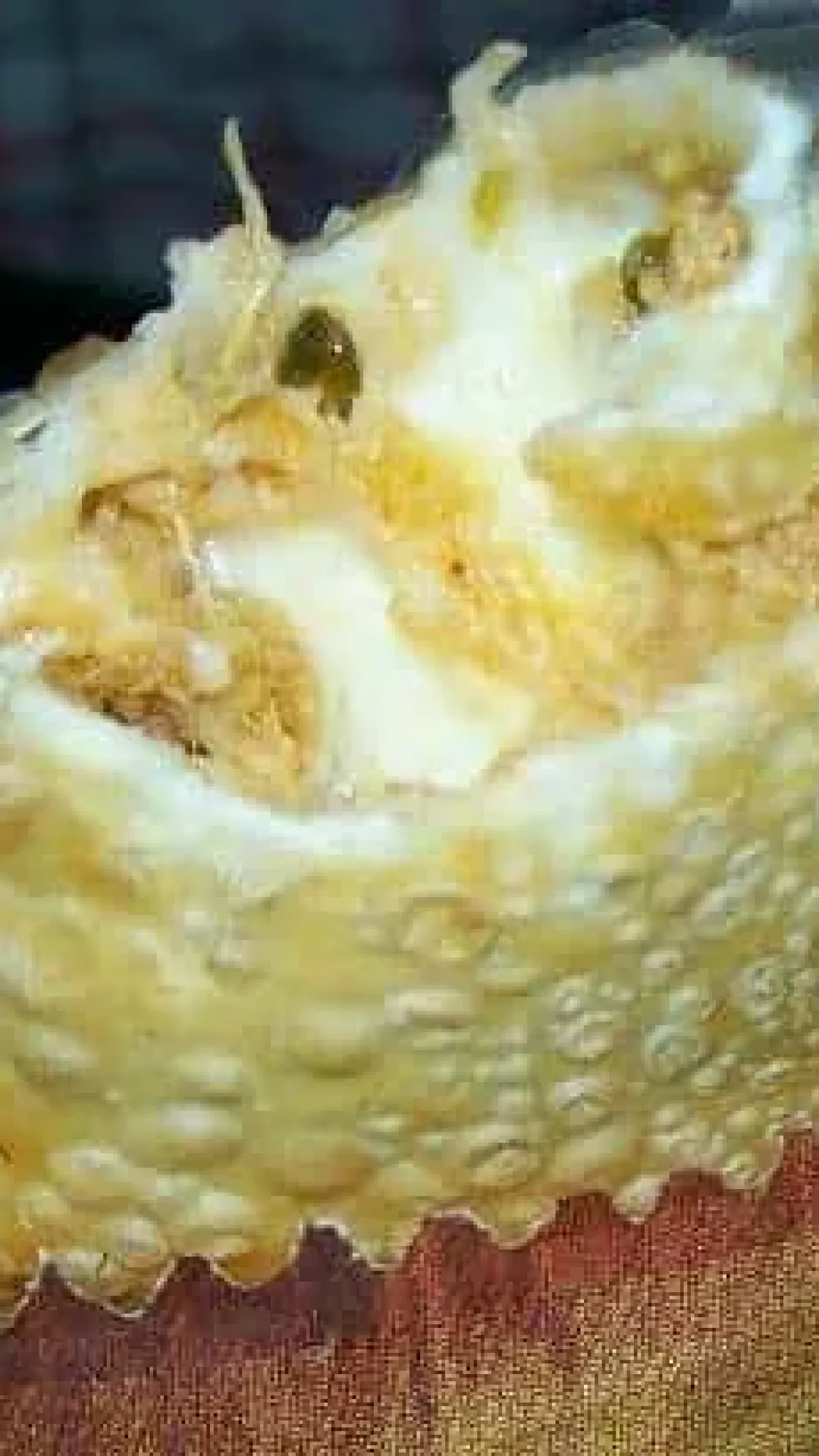 Pastel de Frango com Catupiry