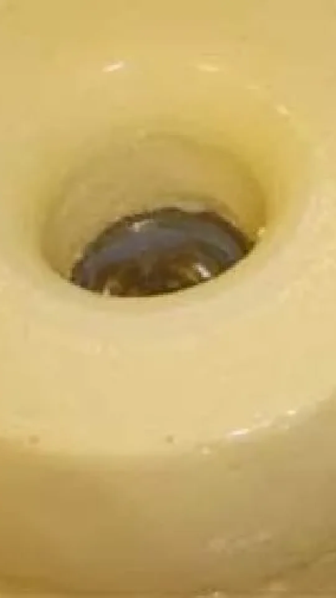 Pudim de Leite Ninho (Não Vai Ao Fogo)