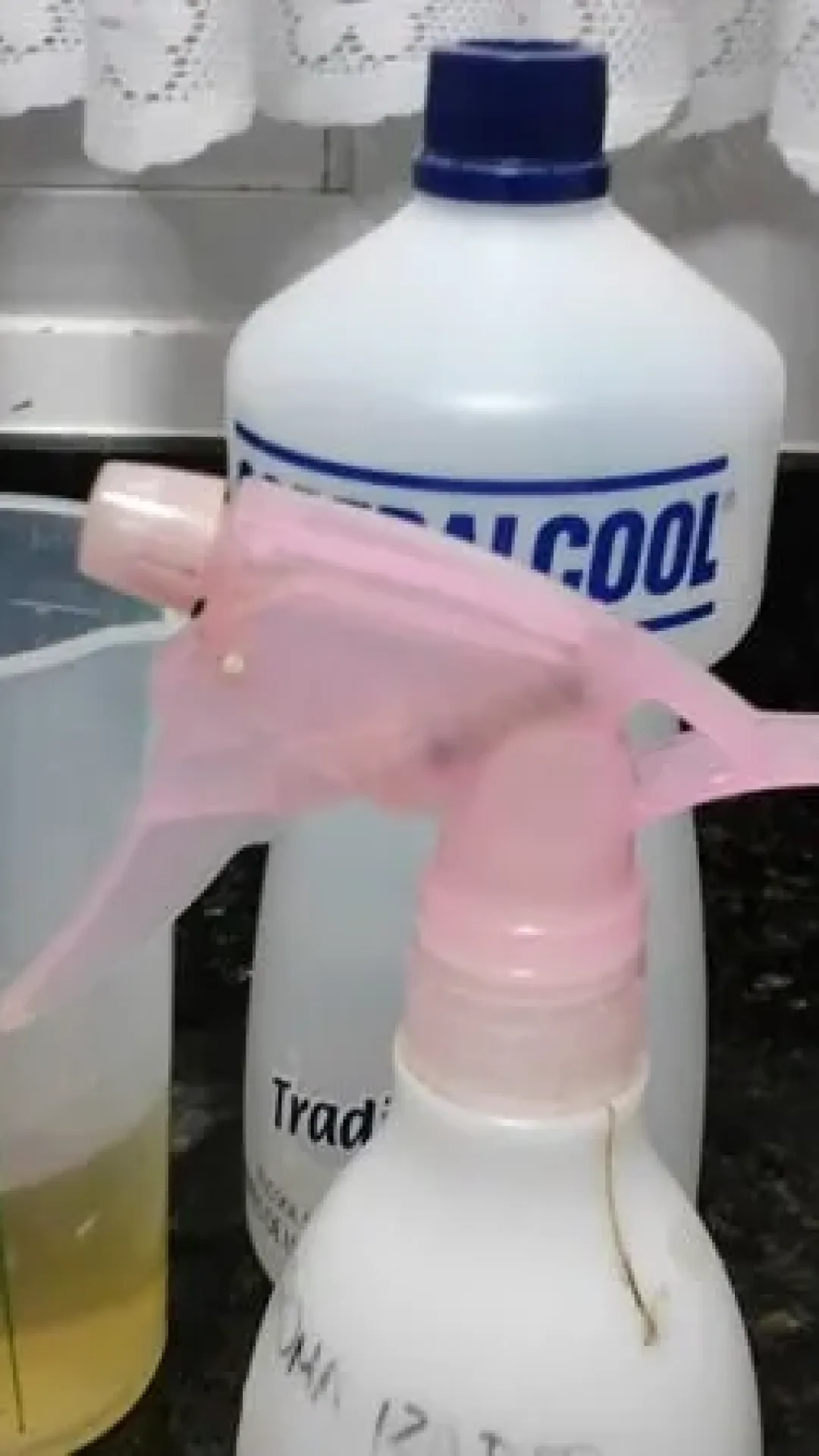Receita Caseira Para Eliminar Formigas, Traças e Baratas