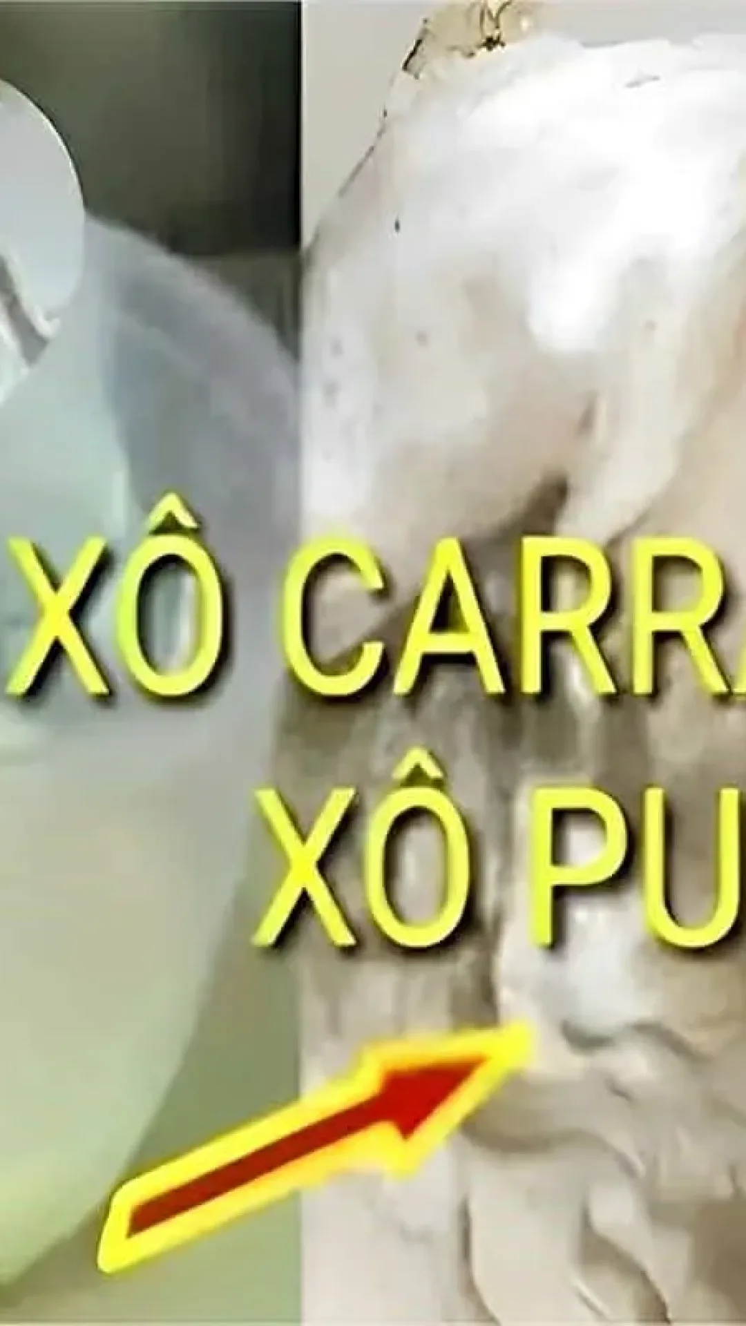 Receita para acabar com pulgas e carrapatos usando apenas 2 ingredientes simples