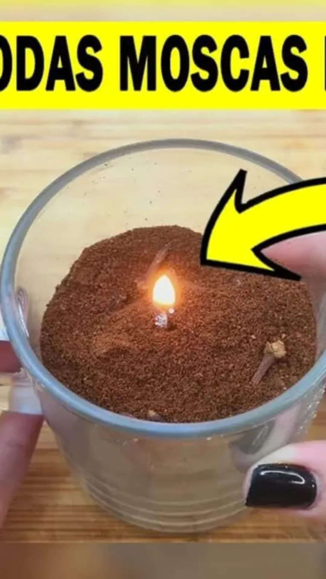 Repelente de mosquitos caseiro: espanta os insetos e ainda ajuda sua casa a ficar cheirosa