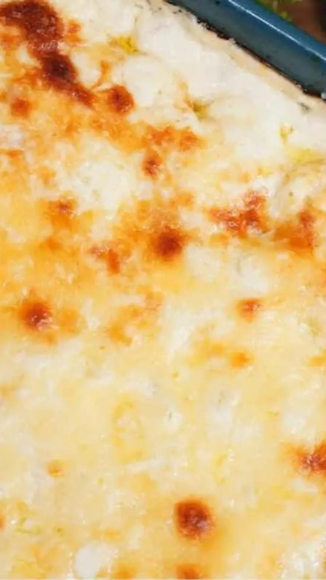 Rondelli ao molho de gorgonzola: praticidade e sofisticação para seu almoço de domingo