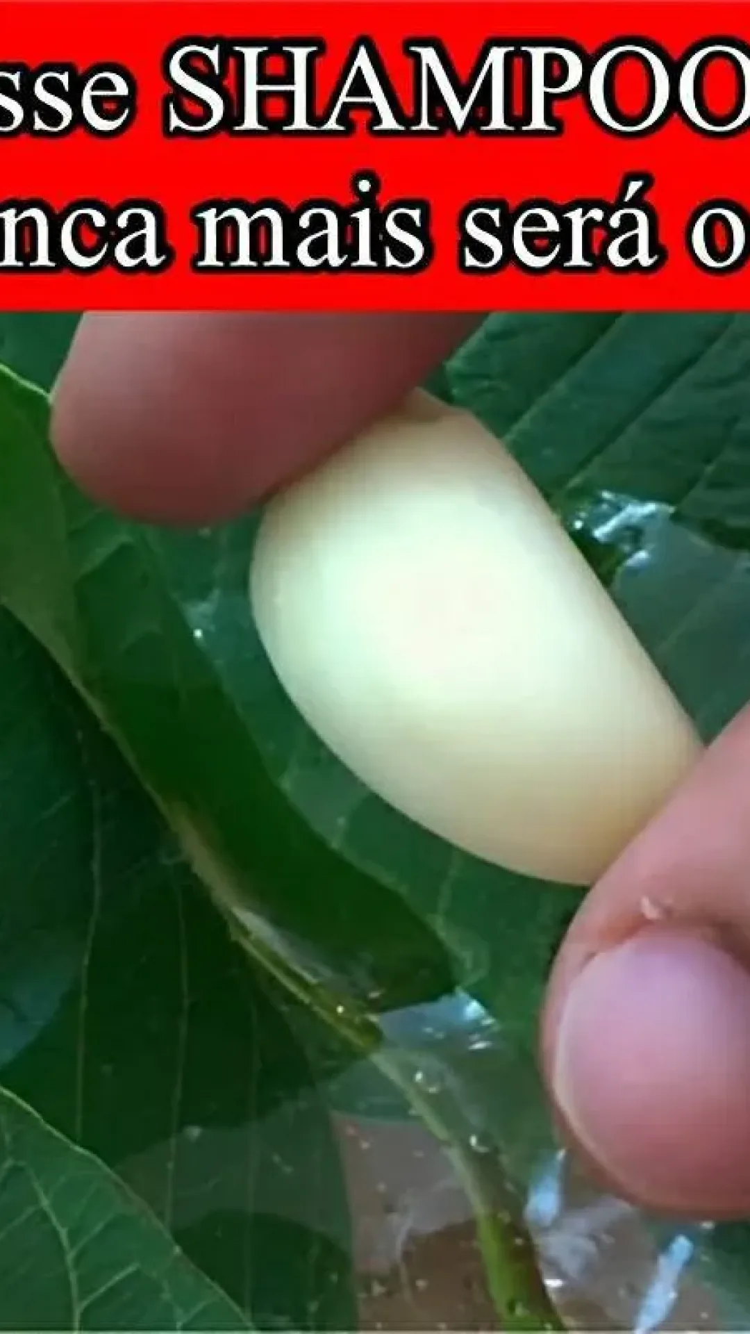 Shampoo caseiro para crescer cabelo que deixa os fios fortes e resistentes sem gastar muito