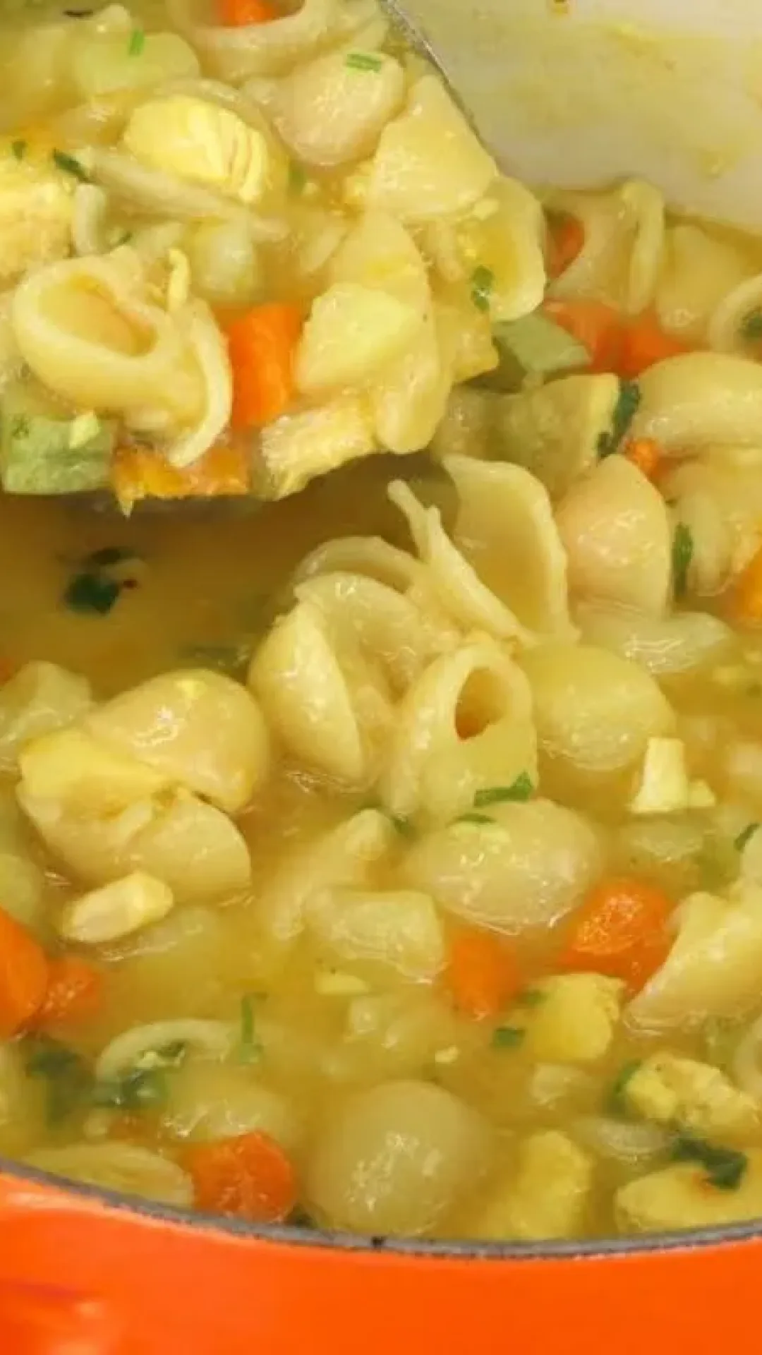 Sopa de frango com legumes: uma das receitas mais pedidas aqui em casa no inverno