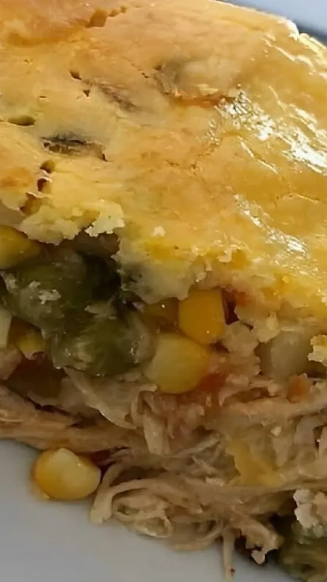 Torta de frango fácil prática e deliciosa com recheio molhadinho e bem temperado