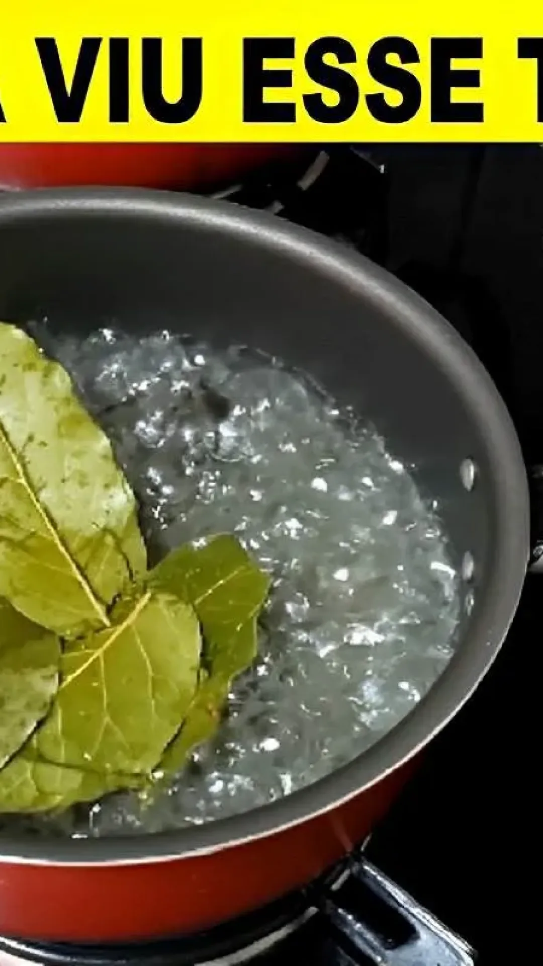 Truque caseiro para acabar com os mosquitos da sua casa