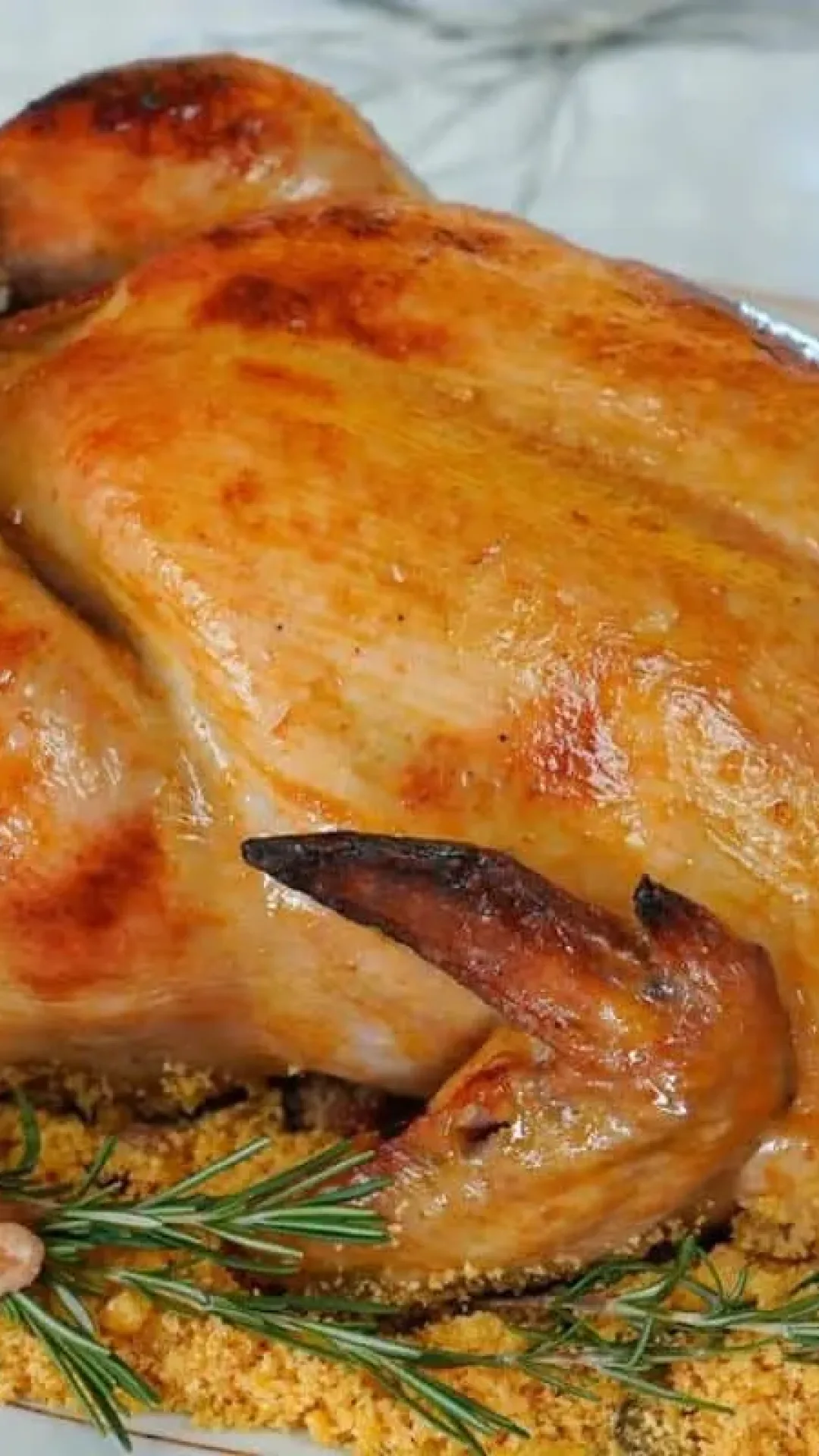 Veja como fazer para seu frango de natal não ficar ressecado quando sai no forno
