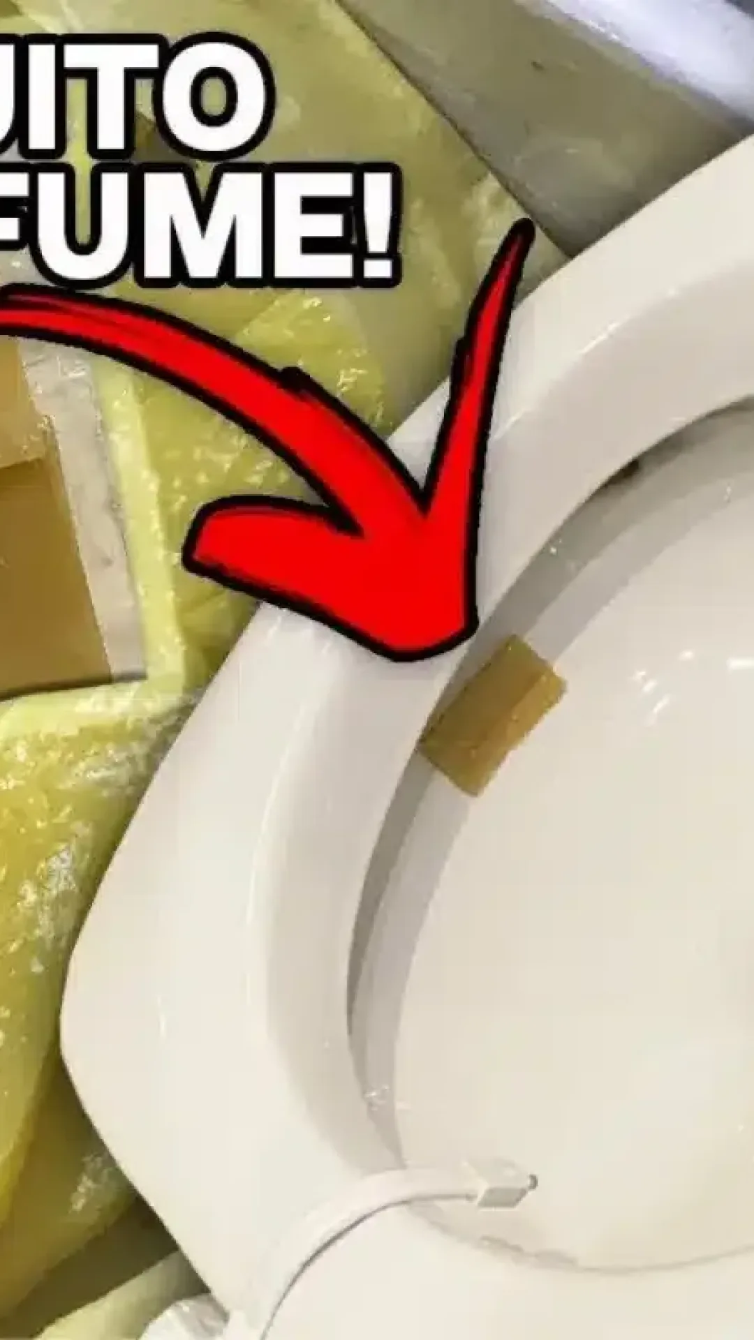 Veja como fazer pastilha sanitária caseira em grande quantidade para o mês inteiro
