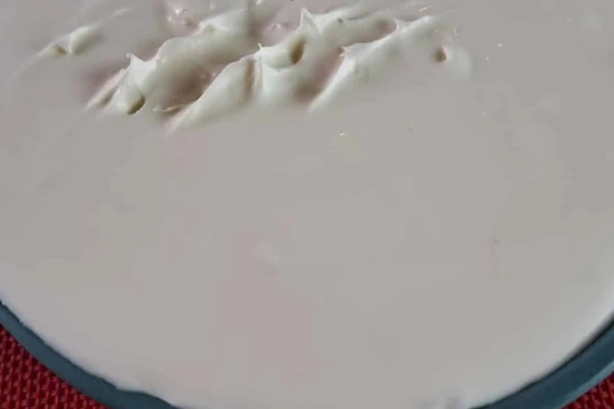 Surpresa de fim de ano: aprenda a fazer queijo mascarpone ca