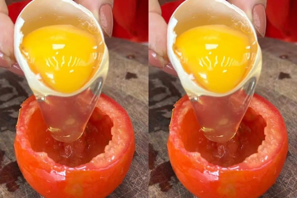 Tomate recheado delicioso para você inovar na hora de fazer
