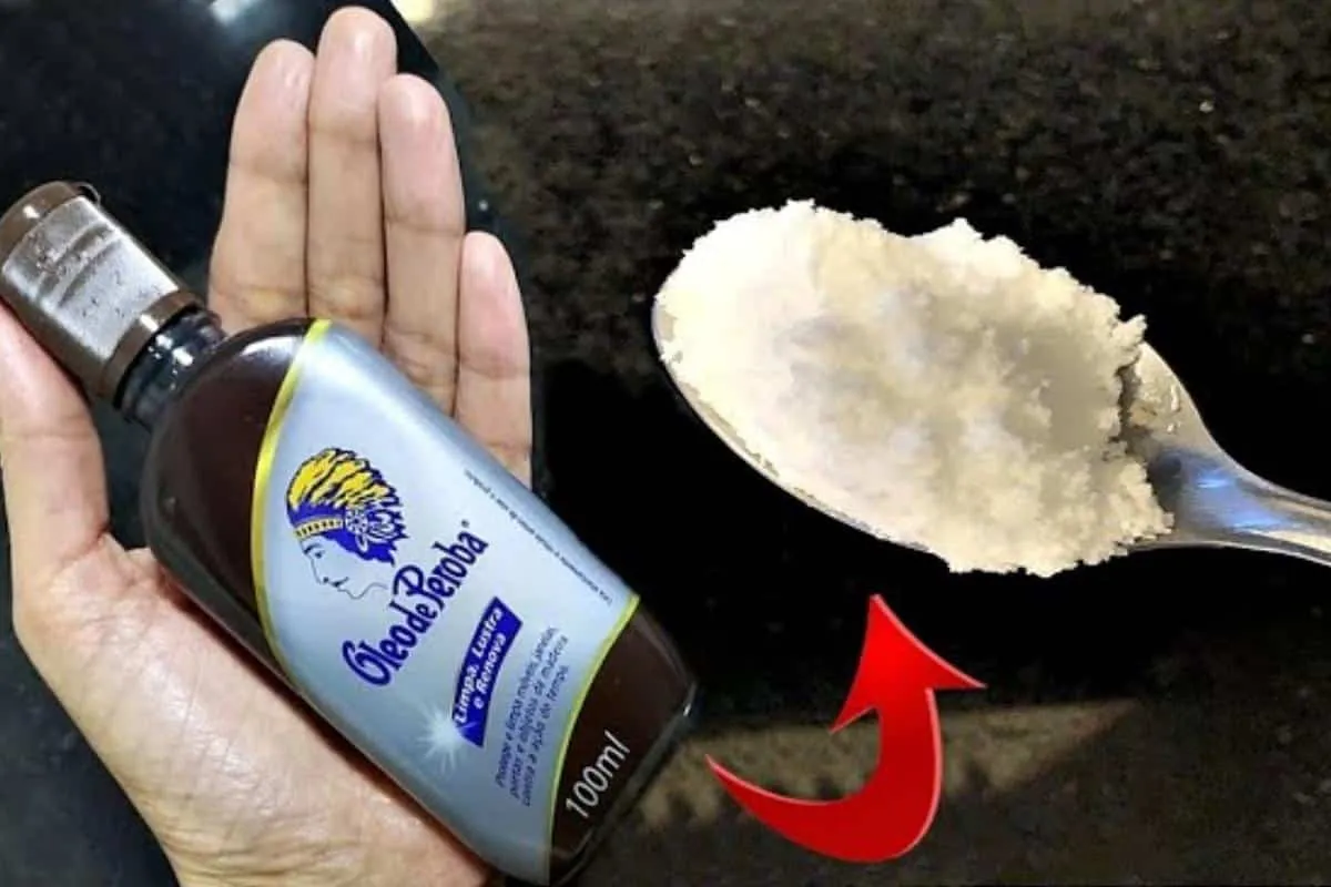 Truque de limpeza para o banheiro: fica limpo e cheiroso igu