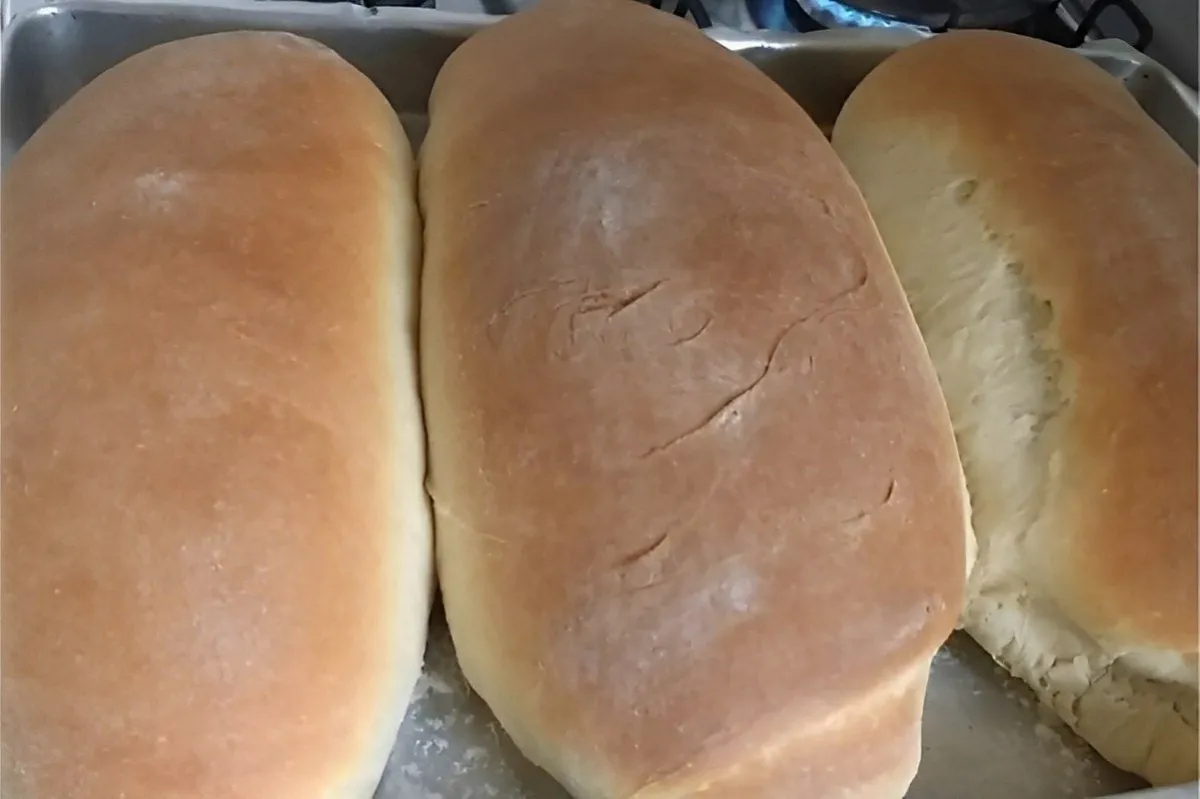 Usando apenas 1 quilo de farinha de trigo fiz 3 unidades de