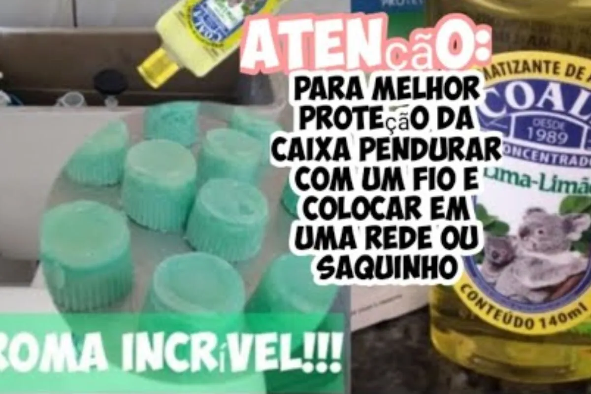 Veja como fazer pedra sanitária caseira de um jeito muito fá