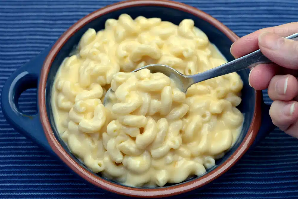Janta Macarrão Cremoso com Queijo prático e delicioso