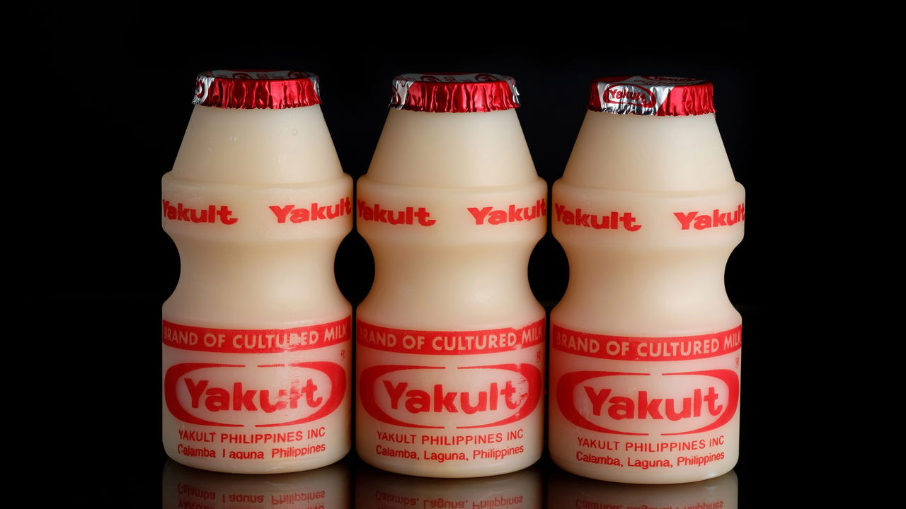 Como Fazer Yakult Caseiro Natural em Casa