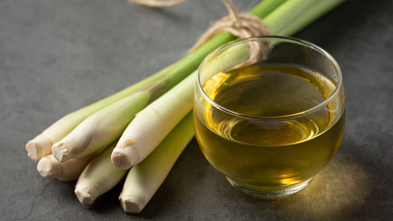 O Melhor Chá de Capim-Santo com Truques para um Sabor Equilibrado
