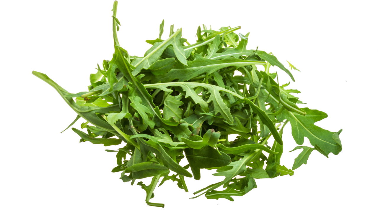 Como Cultivar Rúcula e Garantir Produção Contínua em Casa
