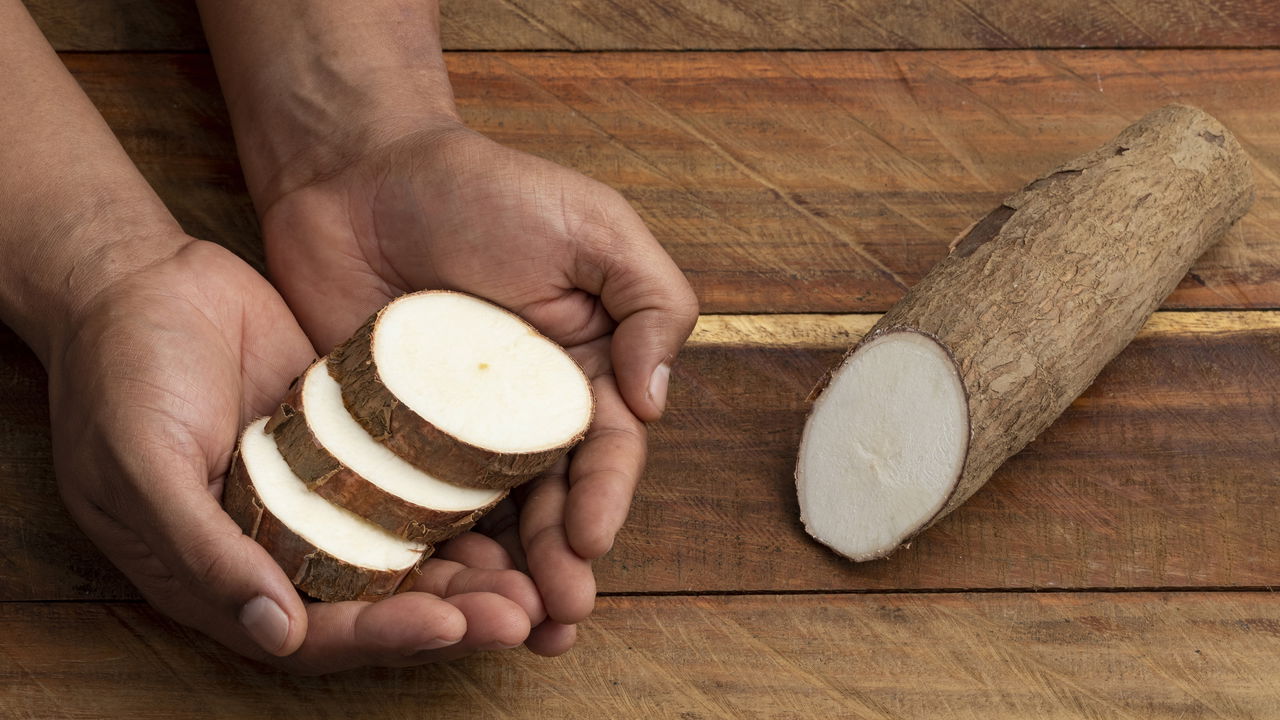 Passo a Passo para Plantar Mandioca Saudável e Natural em Casa
