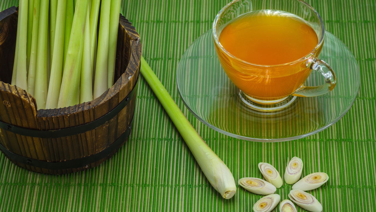 Como Preparar Chá de Capim-Santo Sem Perder o Sabor Natural