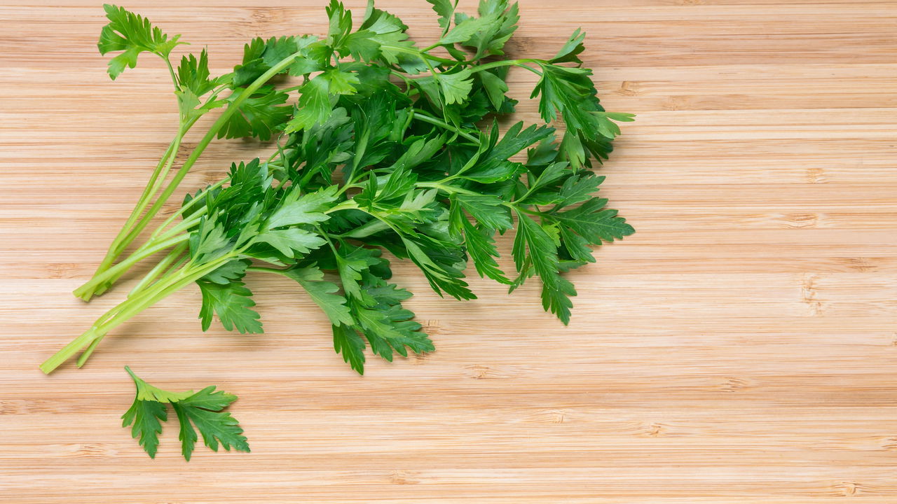 Passo a Passo para Produzir Salsa Fresca Durante Todo o Ano