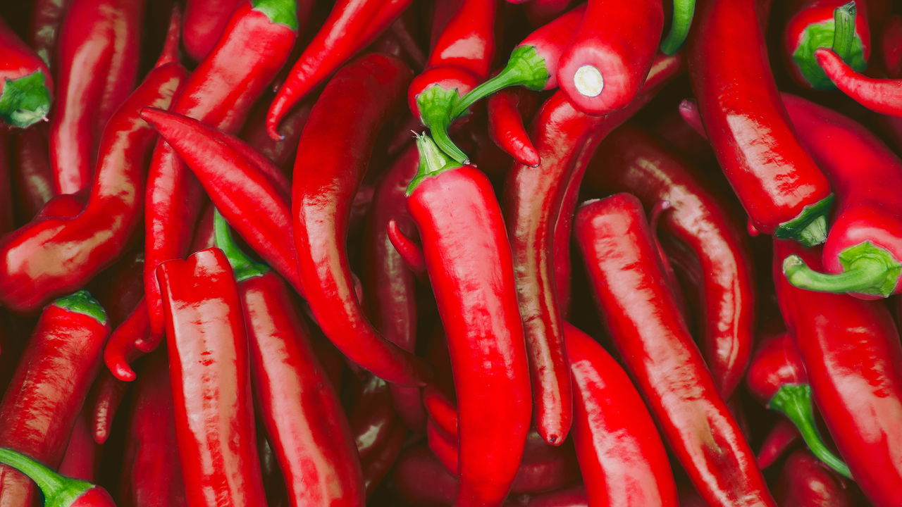Pimenta Malagueta