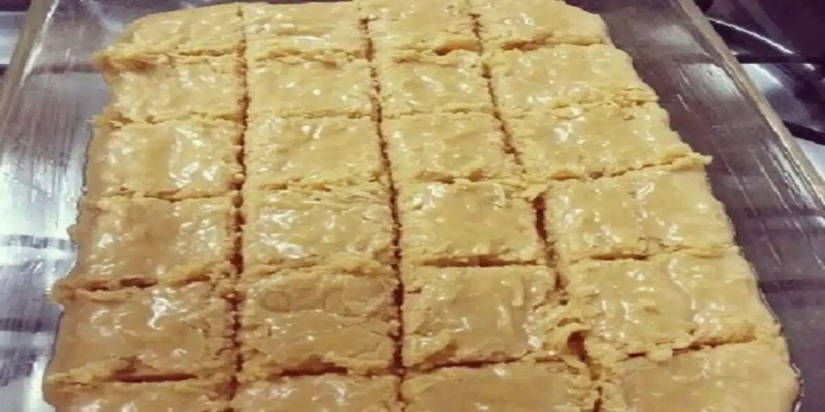 Cocada de Leite Ninho de Corte nada como doces momentos