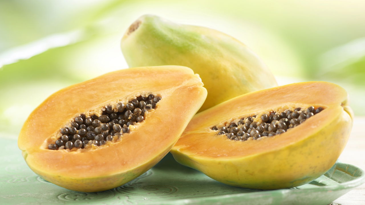 Dicas Essenciais para Plantar Mamão em Casa e Ter Frutas Sempre