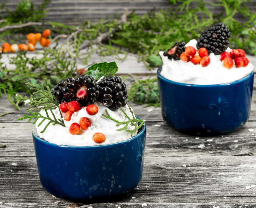 Como Fazer Mousse de Coco Sem Gelatina e Super Cremoso