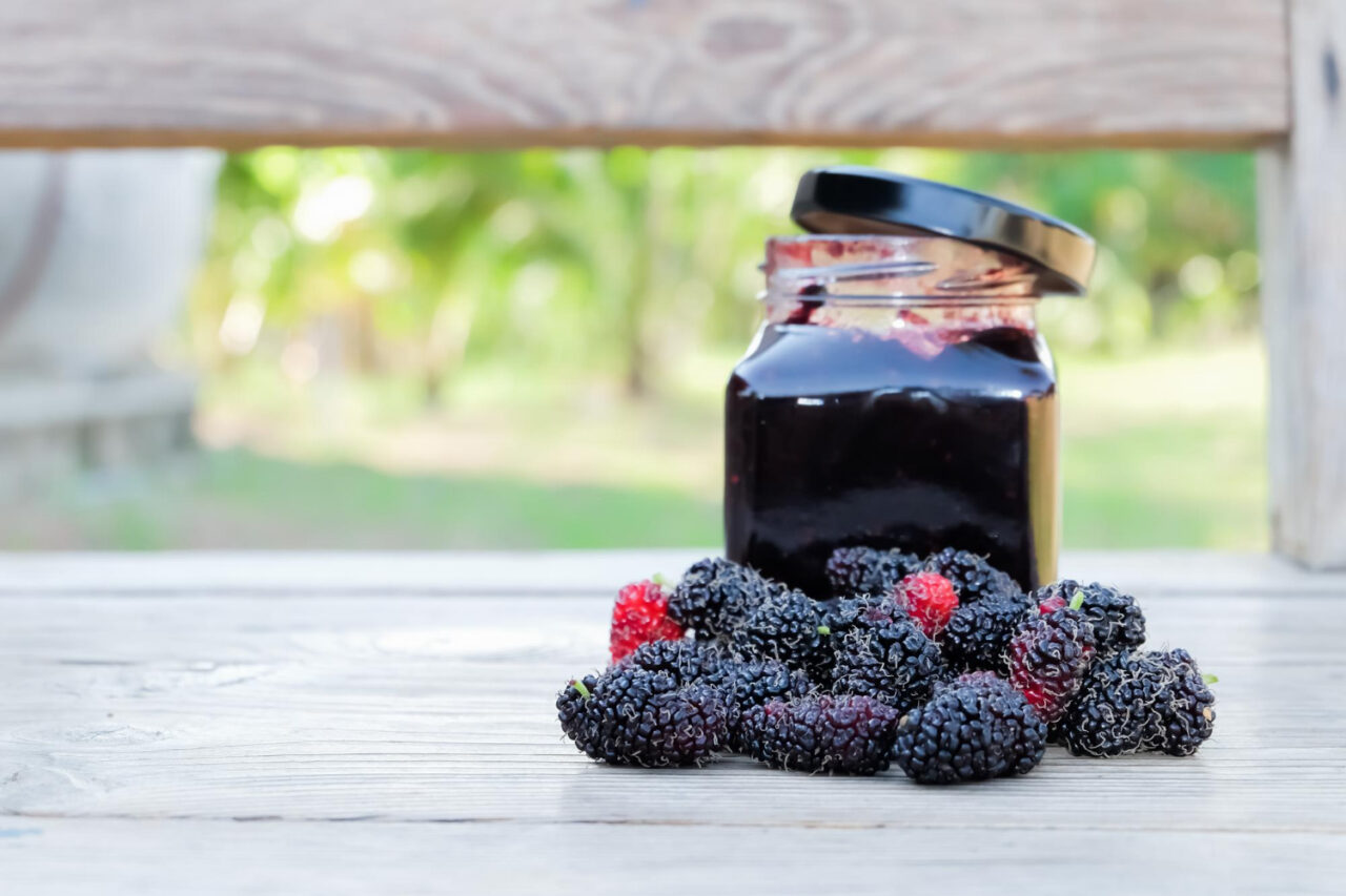 Como Fazer Geleia de Amora Natural em Casa