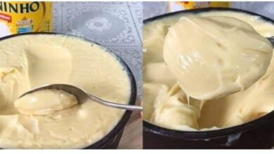 COM 4 INGREDIENTES Mousse de Leite Ninho pra fazer sem demora