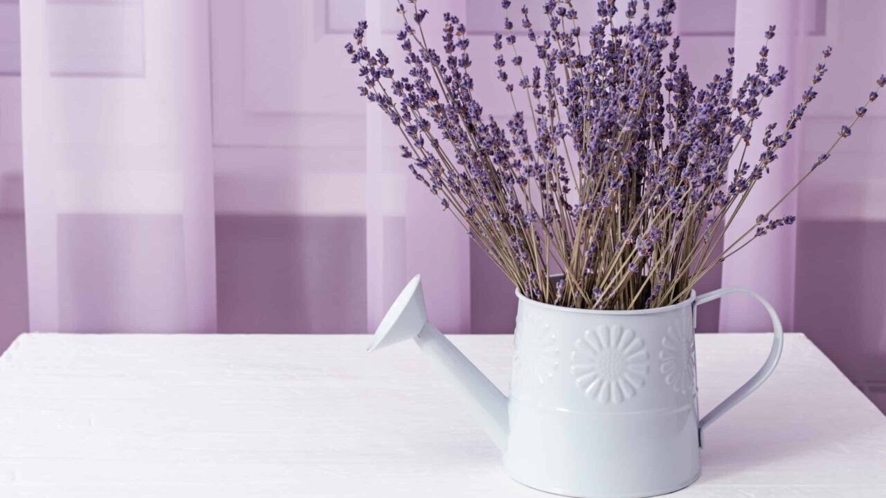 Casa Sempre Perfumada com Lavanda, Olha que Tudo
