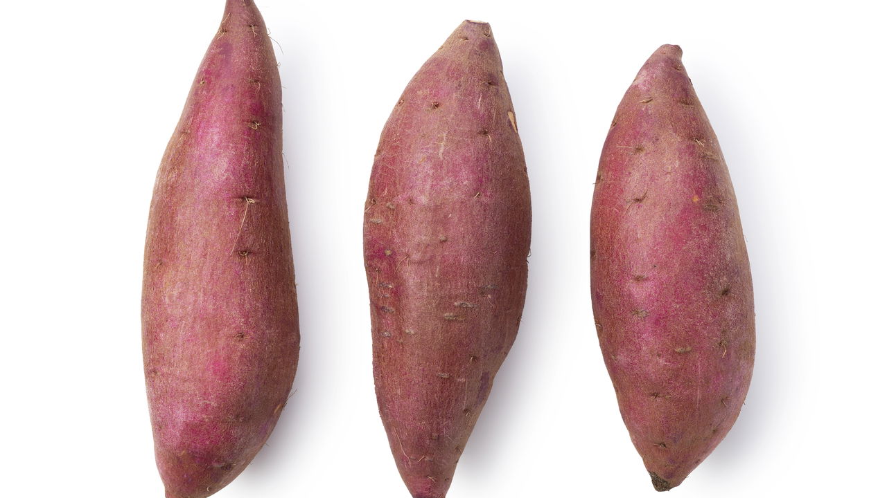 O Segredo para Plantar Batata Doce e Ter Raízes Sempre Grandes
