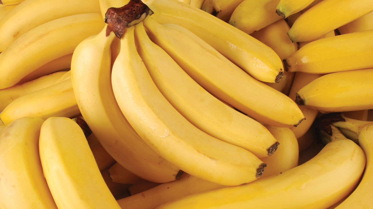 Plantar Banana - Créditos: depositphotos.com / VadimVasenin