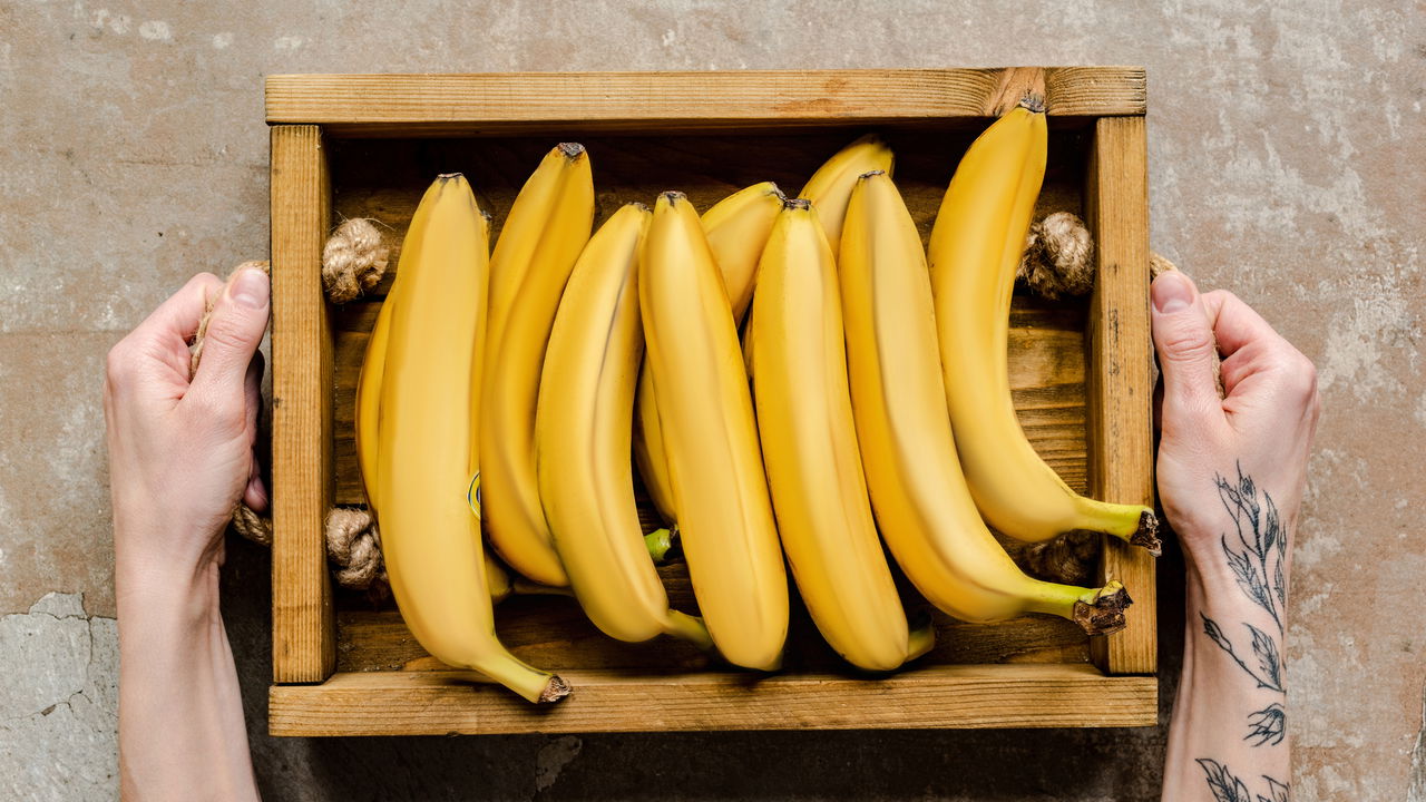 Plantar Banana - Créditos: depositphotos.com / VadimVasenin