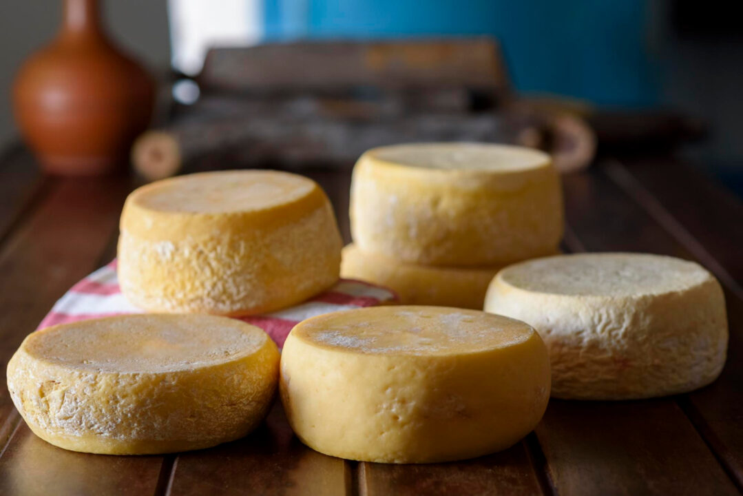 Queijo com Leite de Vaca Feito em Casa com Sabor de Roça