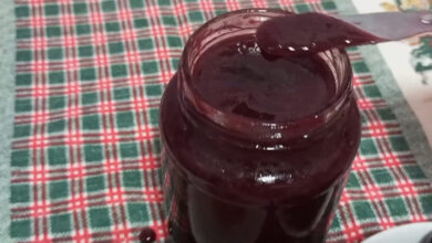 Geleia de Jabuticaba Receita Que Traz Sabor da Infância e Memórias do Quintal